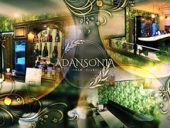 NEW CLUB ADANSONIA  - VIP -の求人情報