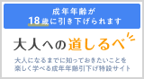 大人への道しるべ