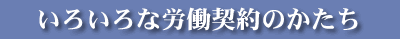낢ȓX^C