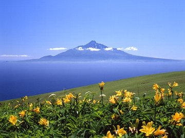 利尻島は、花と山と海の美しい「最北の楽園」です。