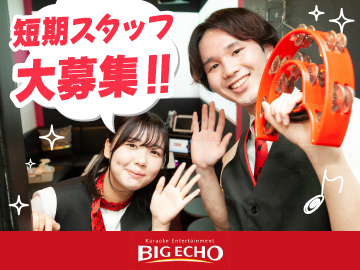 BIG ECHO（ビッグエコー）新橋烏森口店、他のイメージ1